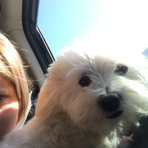 Meet your Posher, Lila